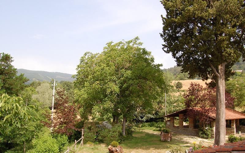 Agriturismo Il Piano Villa Pratovecchio Stia Esterno foto